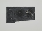 stw_20240119