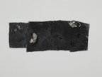 stw_20240305